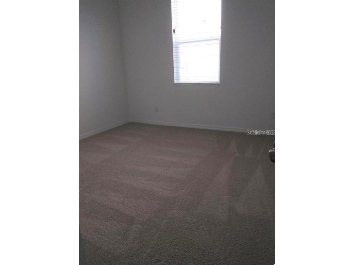 1704 Nature View Drive Lutz FL 33558 TB8502072 image12