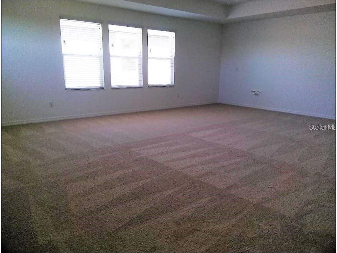 1704 Nature View Drive Lutz FL 33558 TB8502072 image7