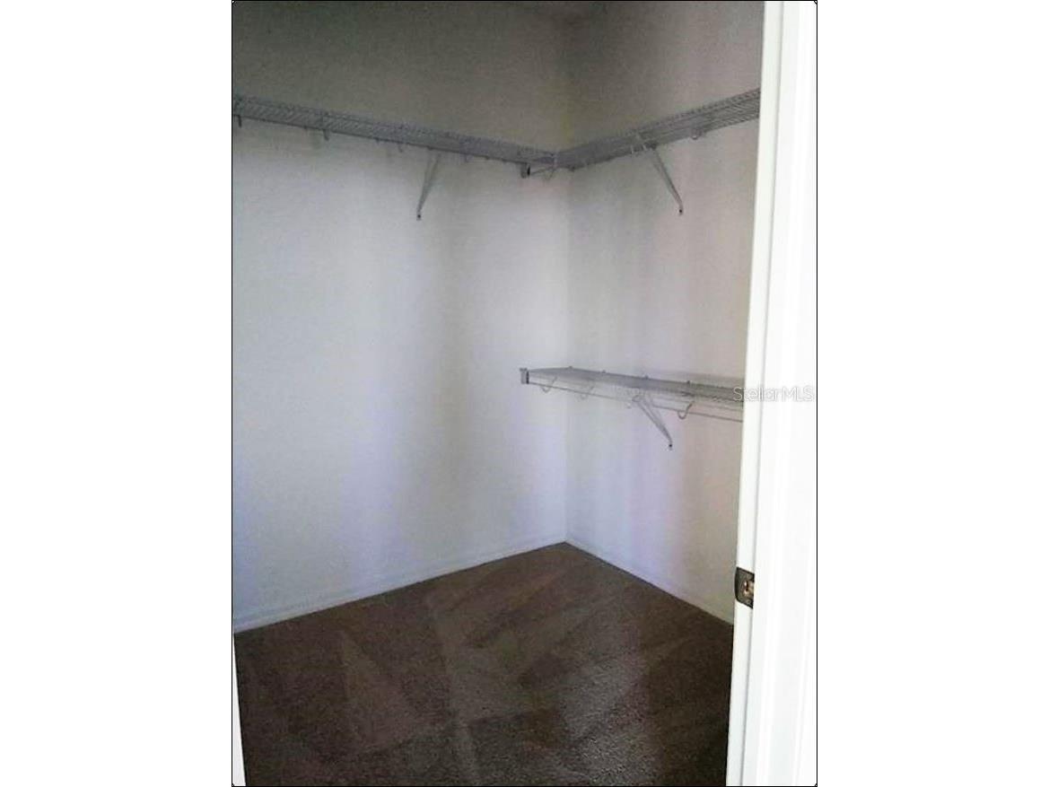 1704 Nature View Drive Lutz FL 33558 TB8502072 image9