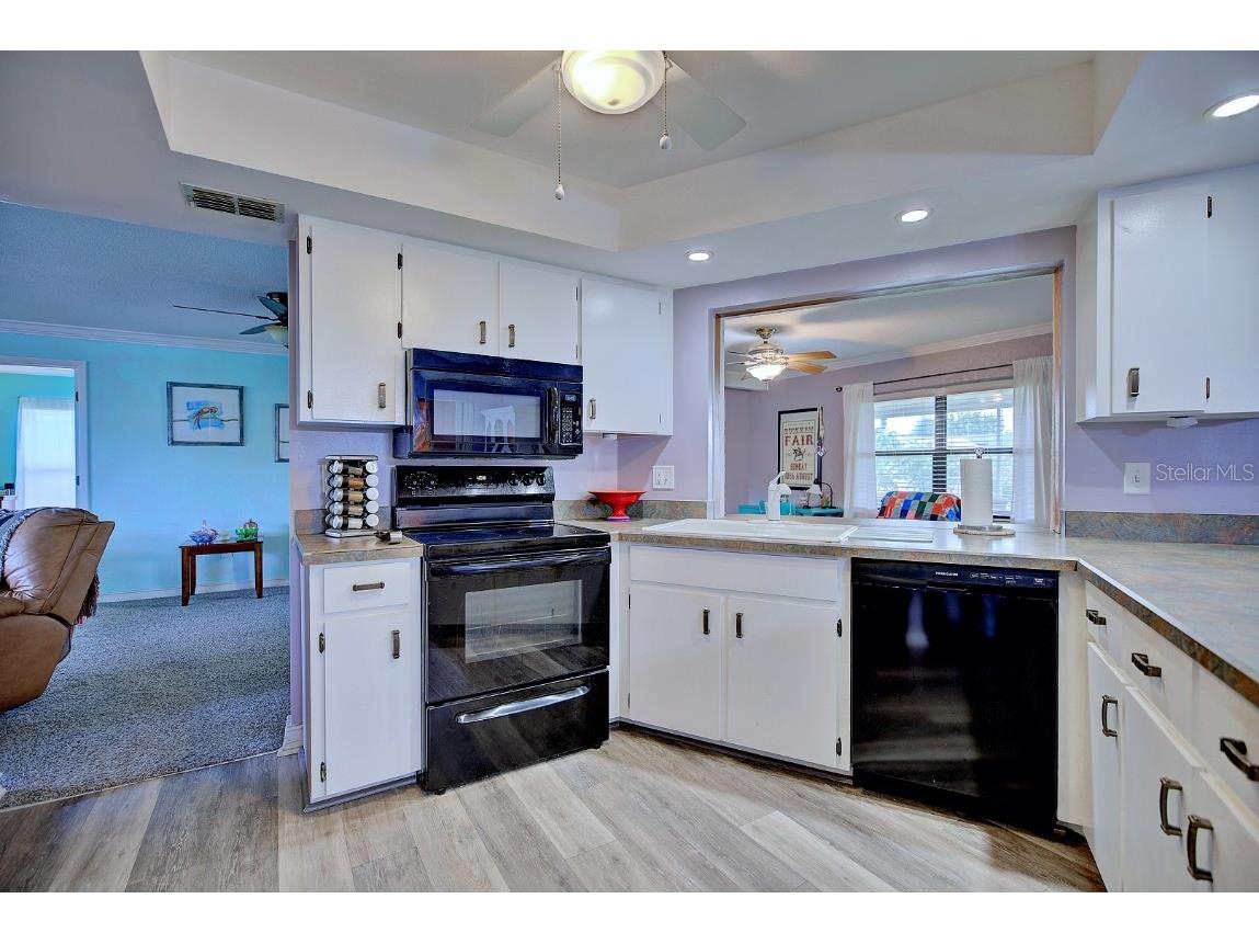 1704 Ridge Street Sebring FL 33870 L4954727 image8