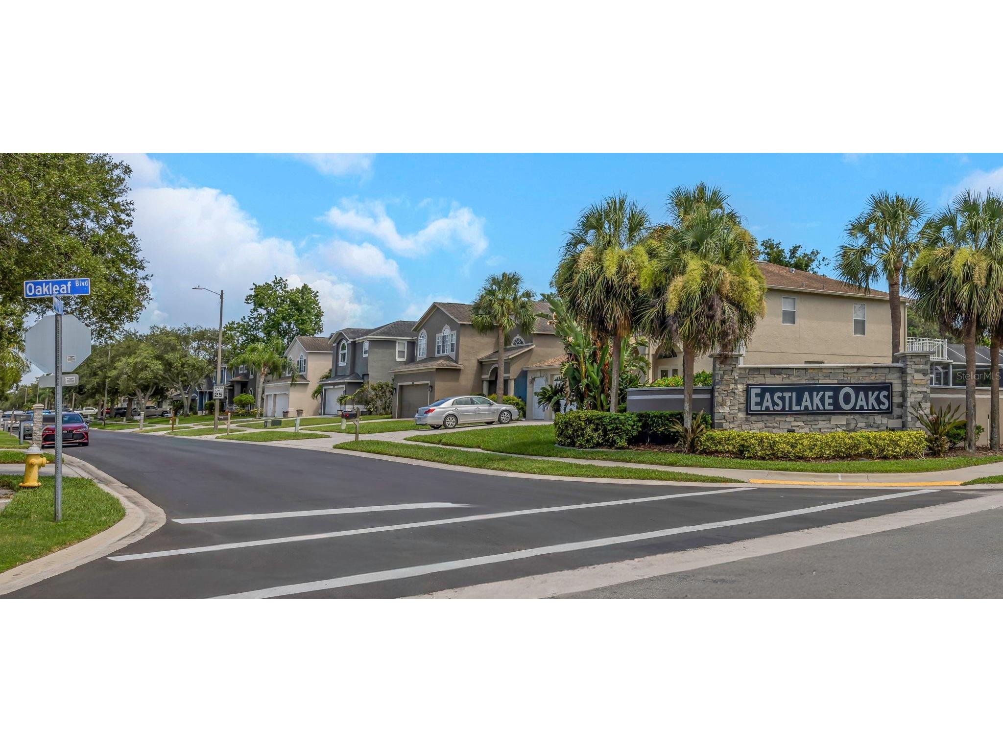 1704 Split Fork Drive Oldsmar FL 34677 TB8527058 image77
