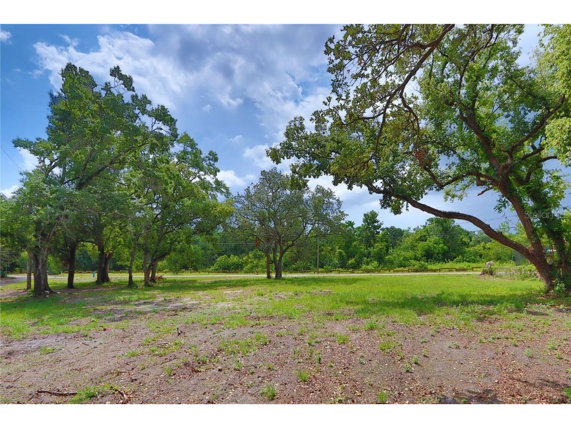 1704 W Perio Street Tampa FL 33612 TB8390460 image1