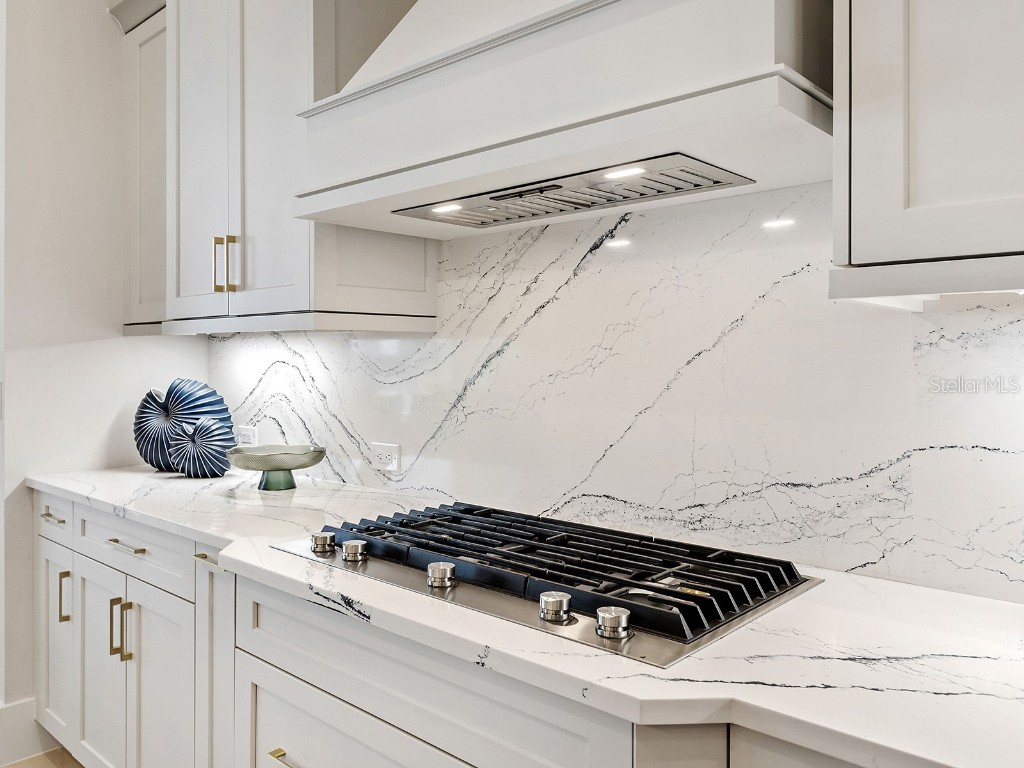 17041 Clearlake Avenue Lakewood Ranch FL 34202 A4669356 image18