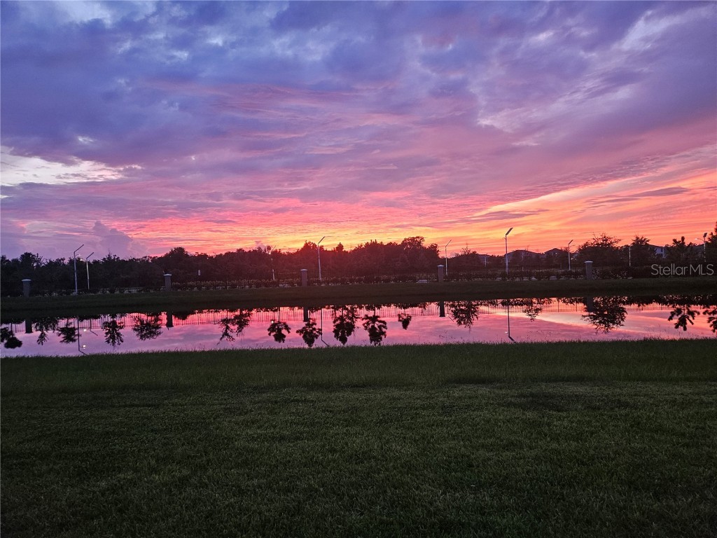 17041 Pocket Reel Lane Wimauma FL 33598 TB8444103 image41