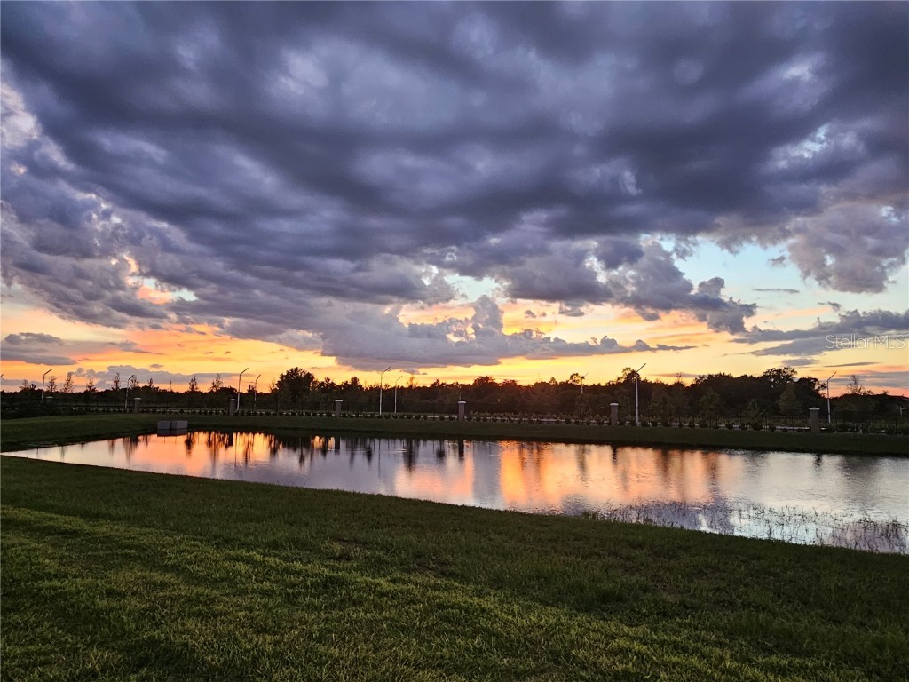 17041 Pocket Reel Lane Wimauma FL 33598 TB8444103 image42