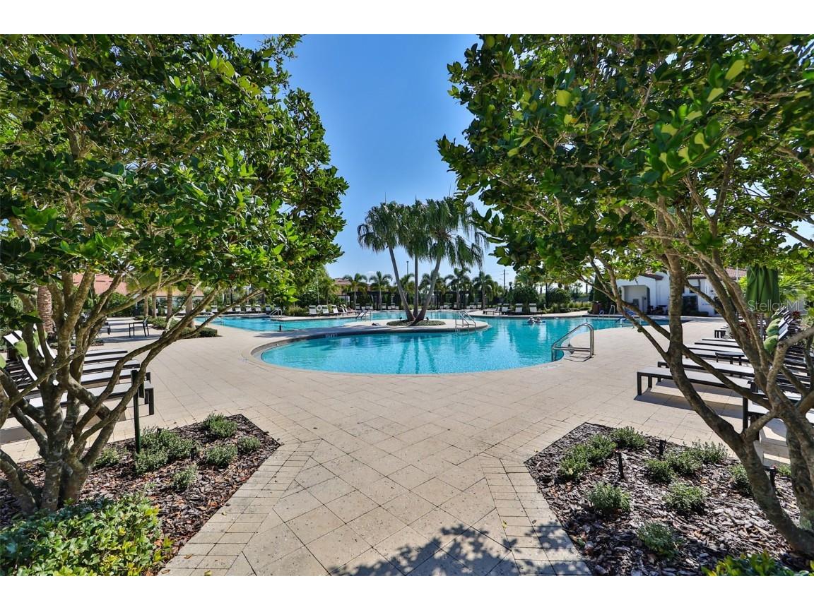 17041 Pocket Reel Lane Wimauma FL 33598 TB8444103 image47