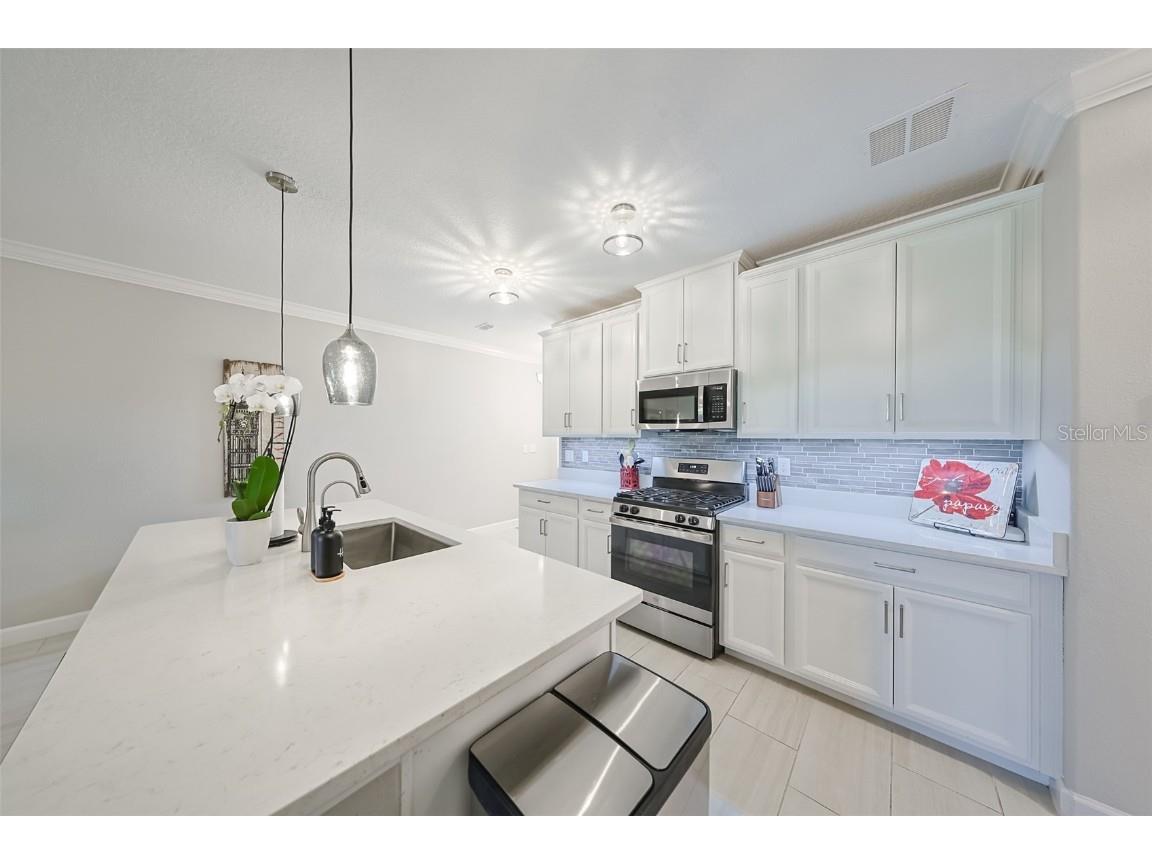 17041 Pocket Reel Lane Wimauma FL 33598 TB8444103 image8