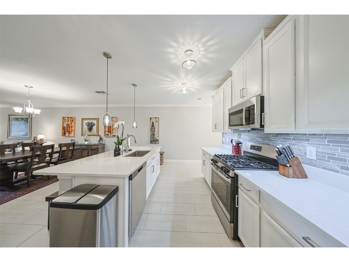 17041 Pocket Reel Lane Wimauma FL 33598 TB8444103 image9