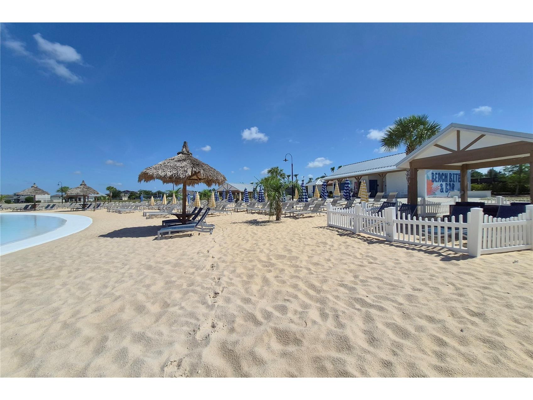 17042 Oval Rum Drive Wimauma FL 33598 TB8511316 image44