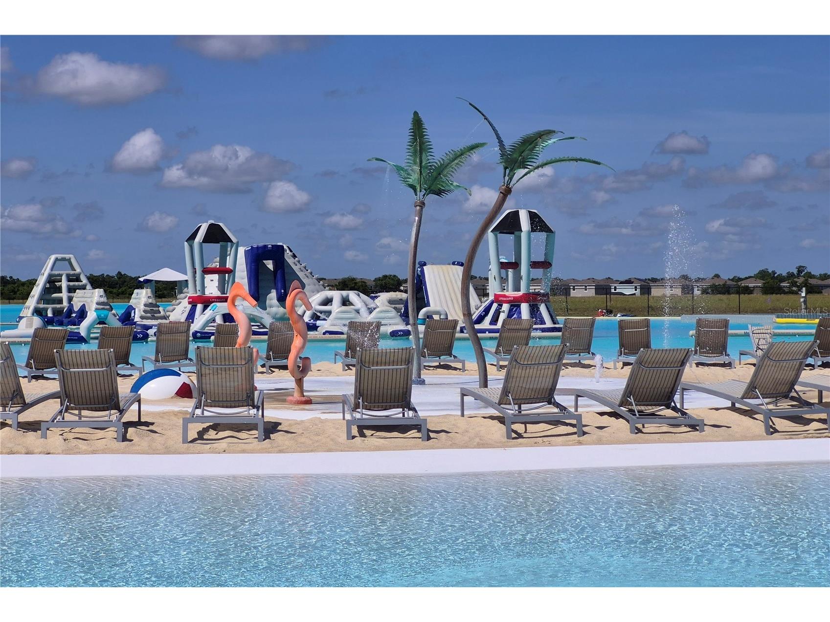 17042 Oval Rum Drive Wimauma FL 33598 TB8511316 image47