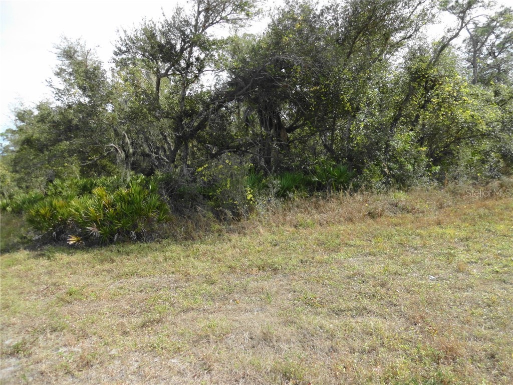 17043 Arthur Avenue Port Charlotte FL 33948 C7503669 image1