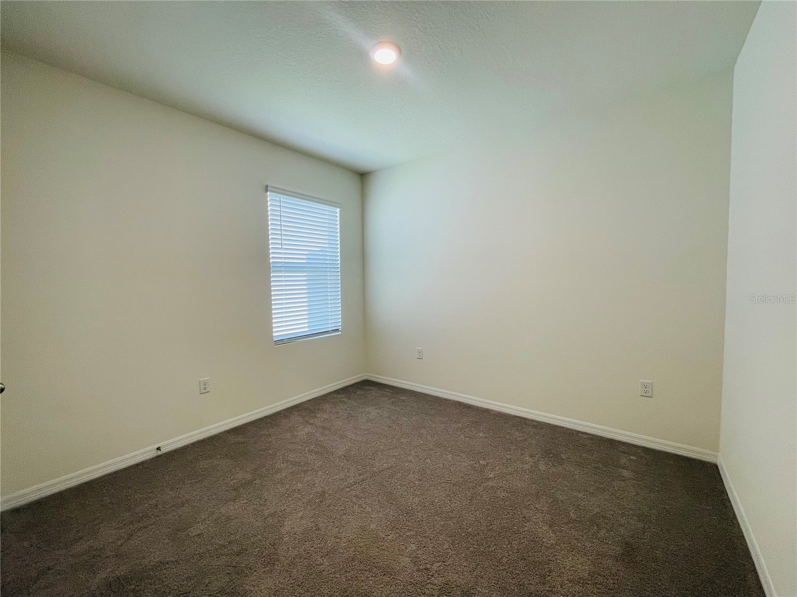 17043 Oval Rum Drive Wimauma FL 33598 O6403074 image11