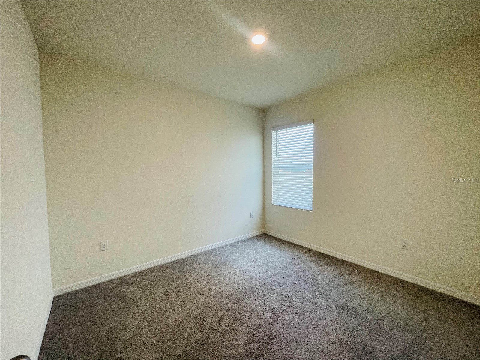 17043 Oval Rum Drive Wimauma FL 33598 O6403651 image11