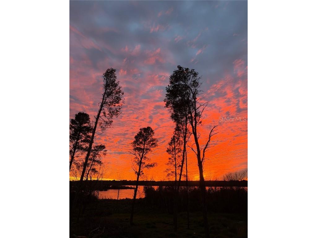 17044 Cavallo Drive Montverde FL 34756 - LAKE APOPKA G5094881 image2