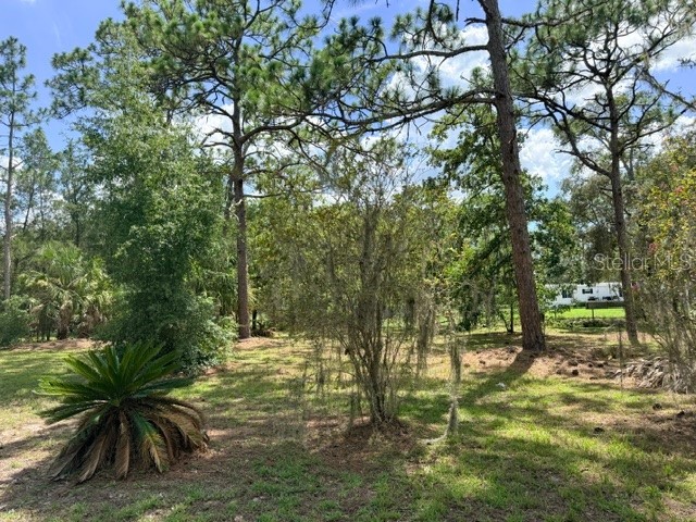 17044 Eldridge Avenue Spring Hill FL 34610 TB8532357 image34
