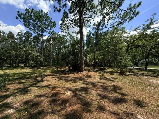 17044 Eldridge Avenue Spring Hill FL 34610 TB8532357 image37