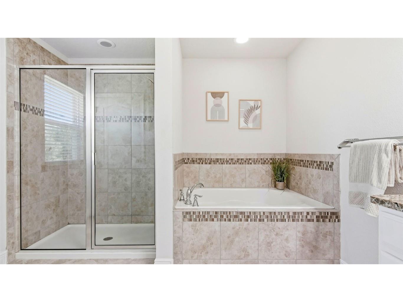 17044 Goldcrest Loop Clermont FL 34714 O6315572 image25