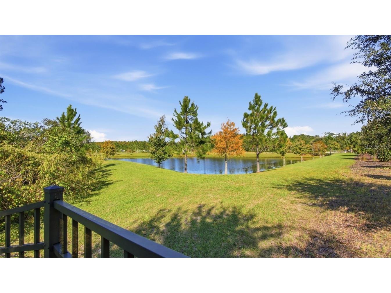 17044 Goldcrest Loop Clermont FL 34714 O6315572 image41