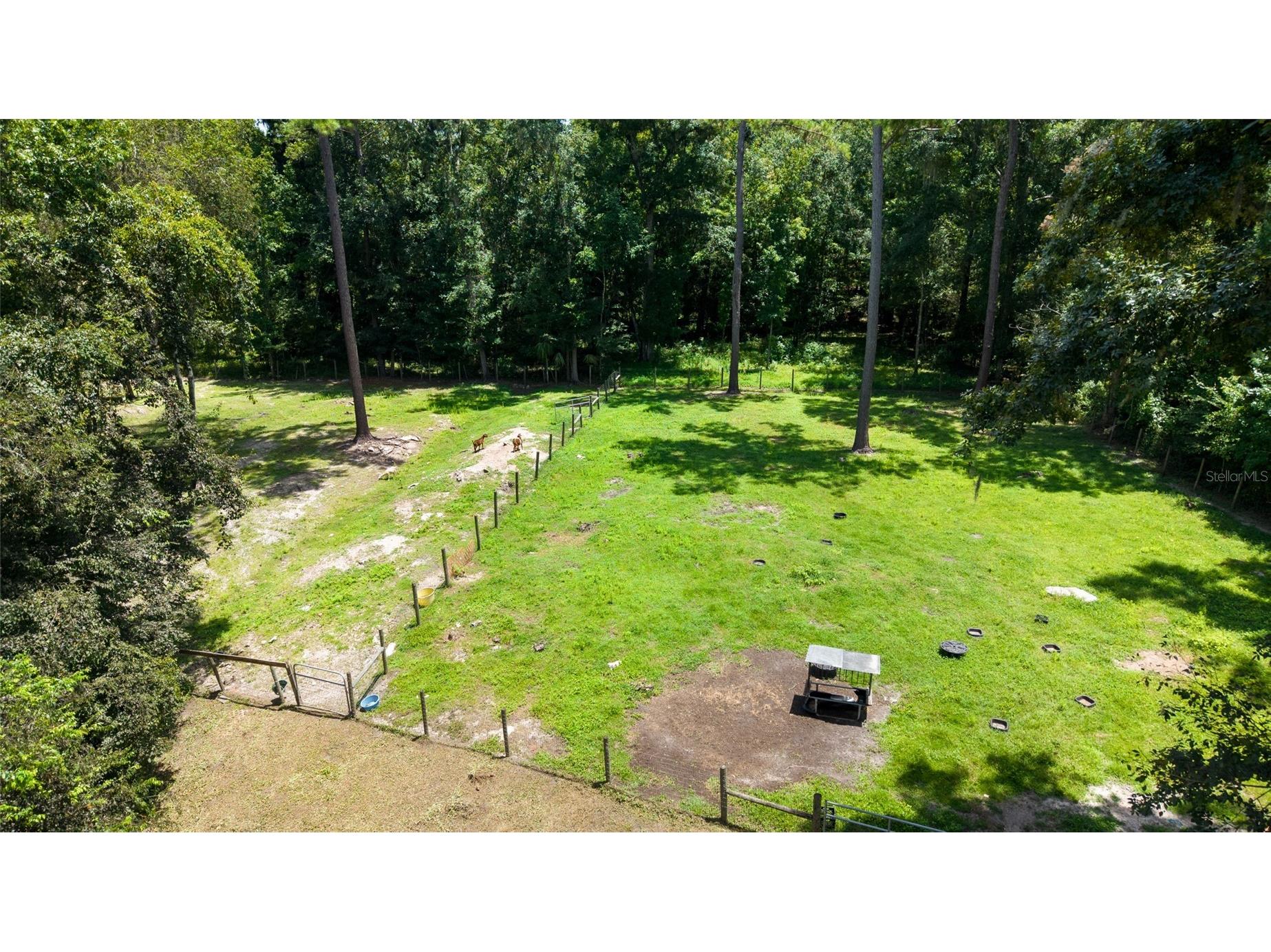 17045 NW 128th Terrace Reddick FL 32686 TB8513668 image34