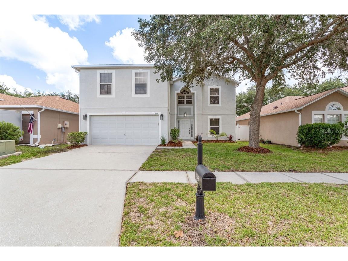 17046 Odessa Drive Land O Lakes FL 34638 T3452455 image1