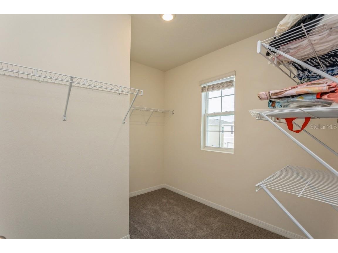 17048 Oval Rum Drive Wimauma FL 33598 TB8340168 image33