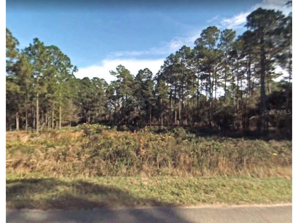 1705 Avocado Boulevard Bunnell FL 32110 V4923907 image1