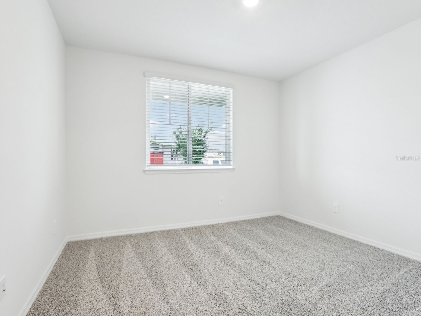 1705 Draughton Drive Zephyrhills FL 33541 O6371209 image4