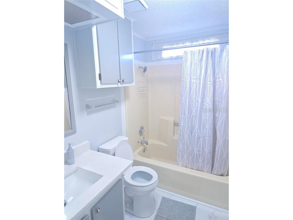 1705 Kiley Court The Villages FL 32159 OM707897 image13