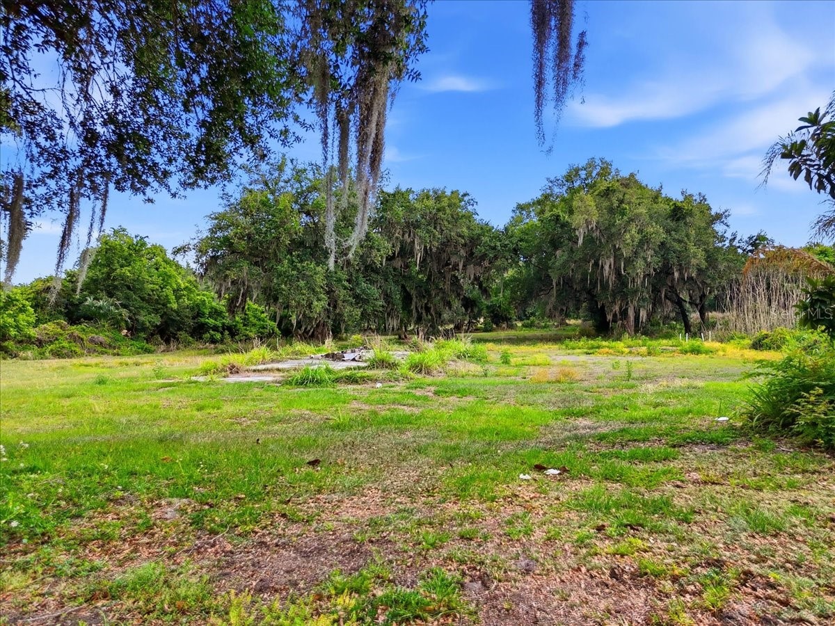 1705 Marshall Street Bartow FL 33830 L4961394 image5