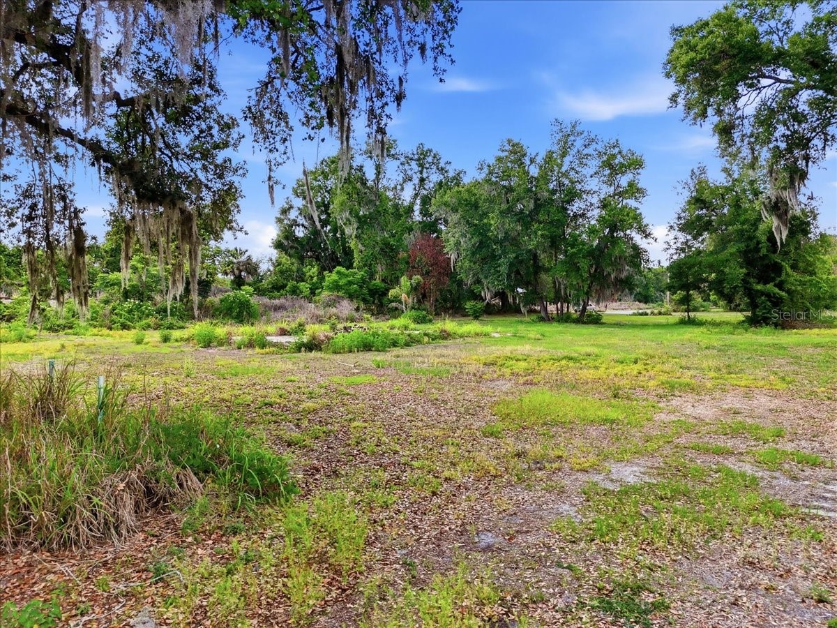 1705 Marshall Street Bartow FL 33830 L4961394 image7