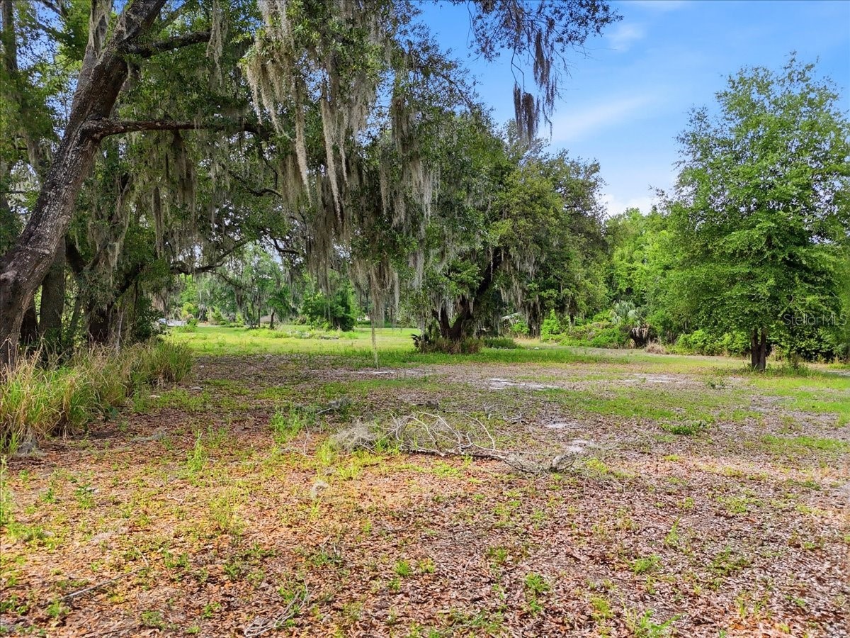 1705 Marshall Street Bartow FL 33830 L4961394 image8
