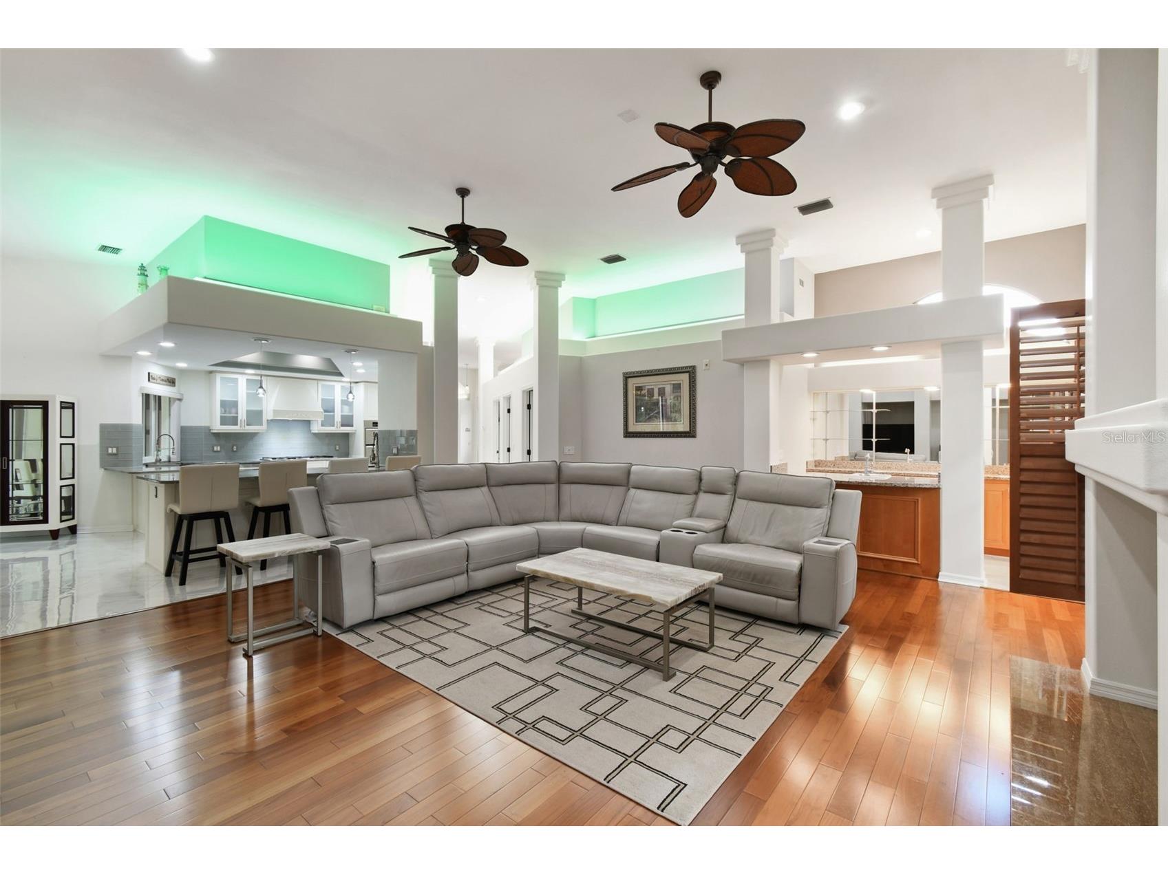 1705 Meyers Cove Drive Tarpon Springs FL 34689 - ANCLOTE RIVER/GULF TB8472464 image30