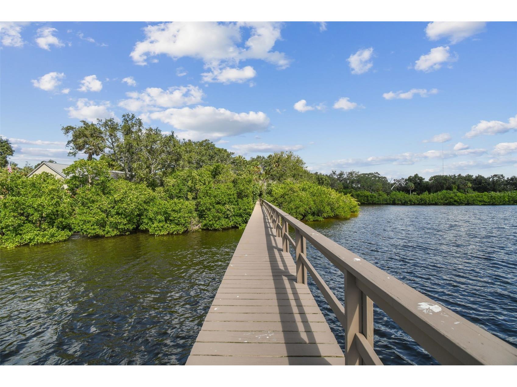 1705 Meyers Cove Drive Tarpon Springs FL 34689 - ANCLOTE RIVER/GULF TB8472464 image74