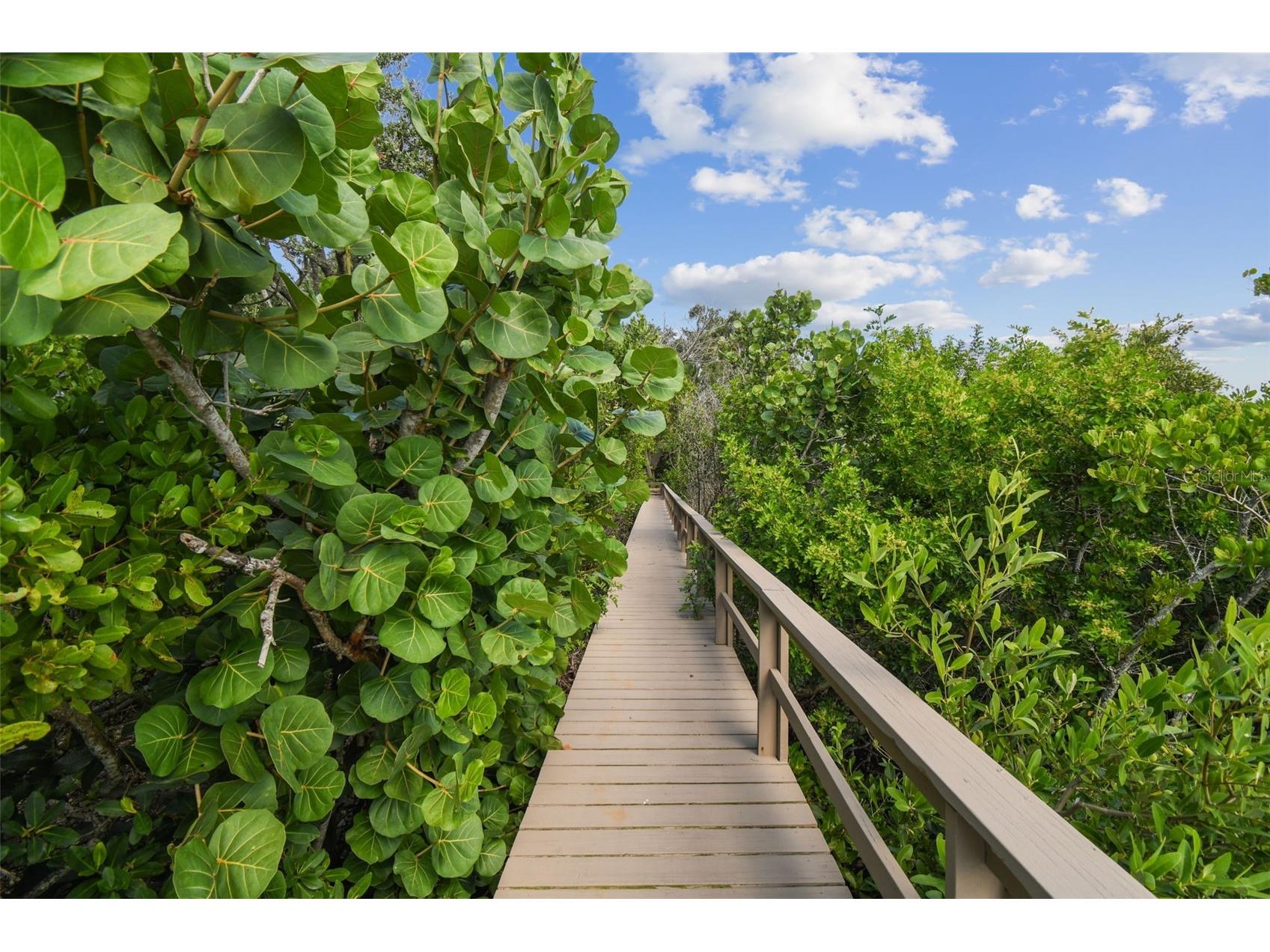 1705 Meyers Cove Drive Tarpon Springs FL 34689 - ANCLOTE RIVER/GULF TB8472464 image75