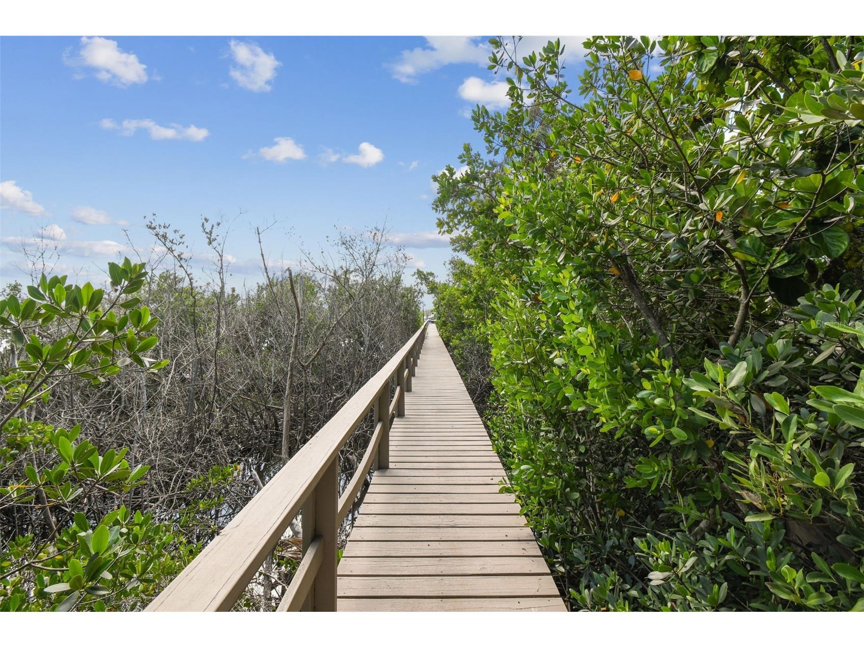 1705 Meyers Cove Drive Tarpon Springs FL 34689 - ANCLOTE RIVER/GULF TB8472464 image76