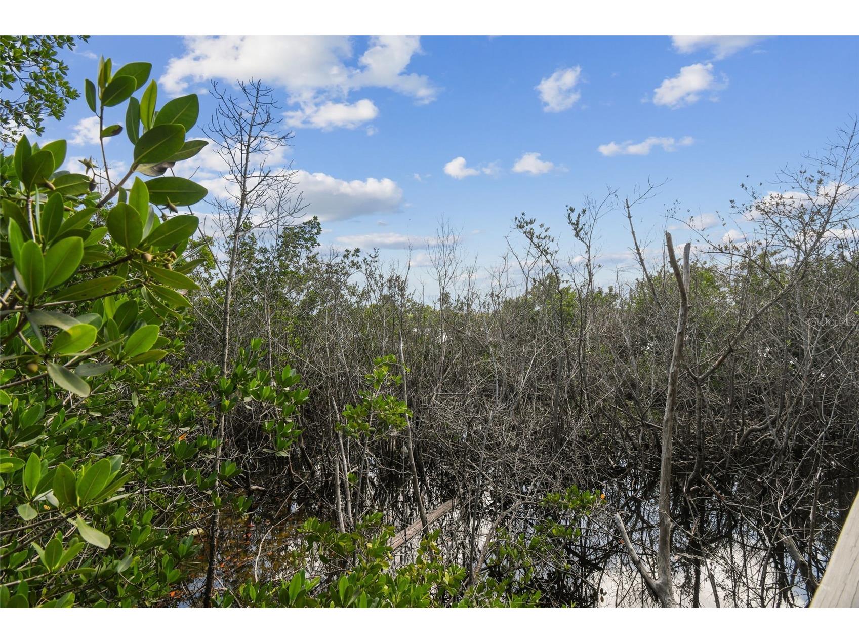 1705 Meyers Cove Drive Tarpon Springs FL 34689 - ANCLOTE RIVER/GULF TB8472464 image77