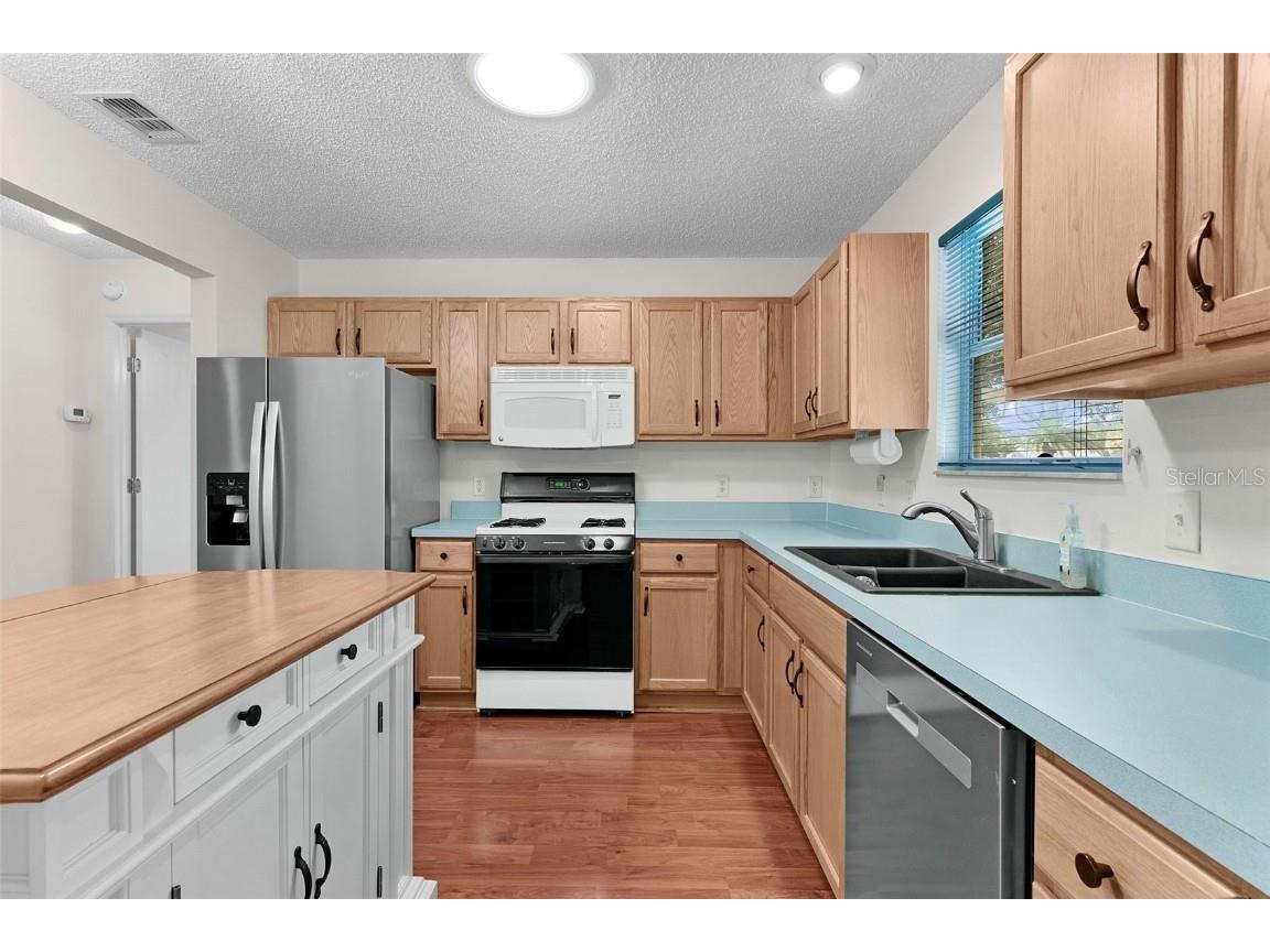 1705 Staunton Street The Villages FL 32162 G5101292 image14