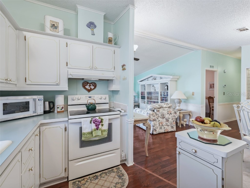 1705 W Schwartz Boulevard Lady Lake FL 32159 OM705626 image7