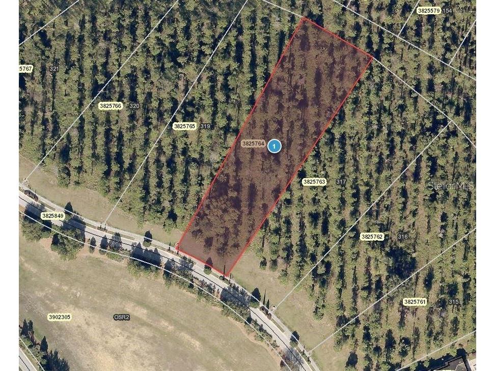 17050 Medici Way Montverde FL 34756 - LAKE SIENA O6138127 image1