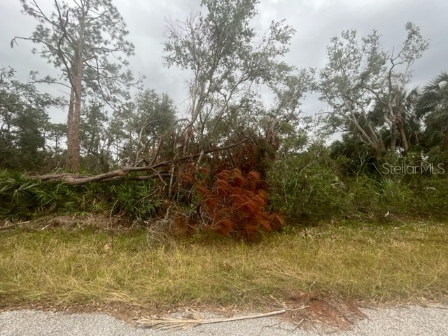 17051 Carson Avenue Port Charlotte FL 33948 C7514543 image1