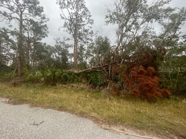 17051 Carson Avenue Port Charlotte FL 33948 C7514543 image2