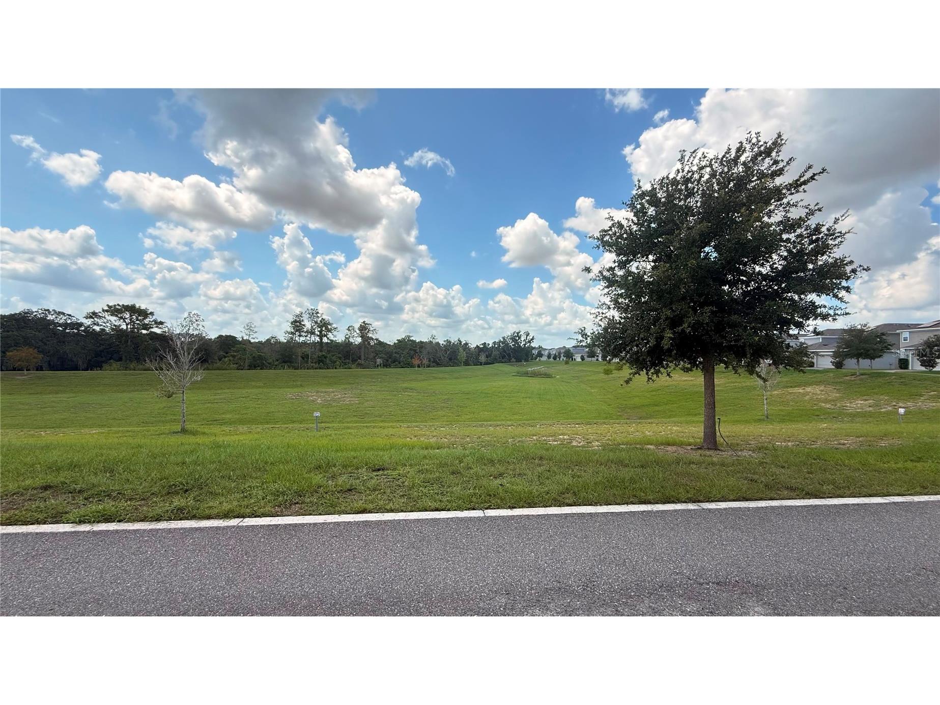 17052 Quicksilver Avenue Winter Garden FL 34787 O6420539 image15