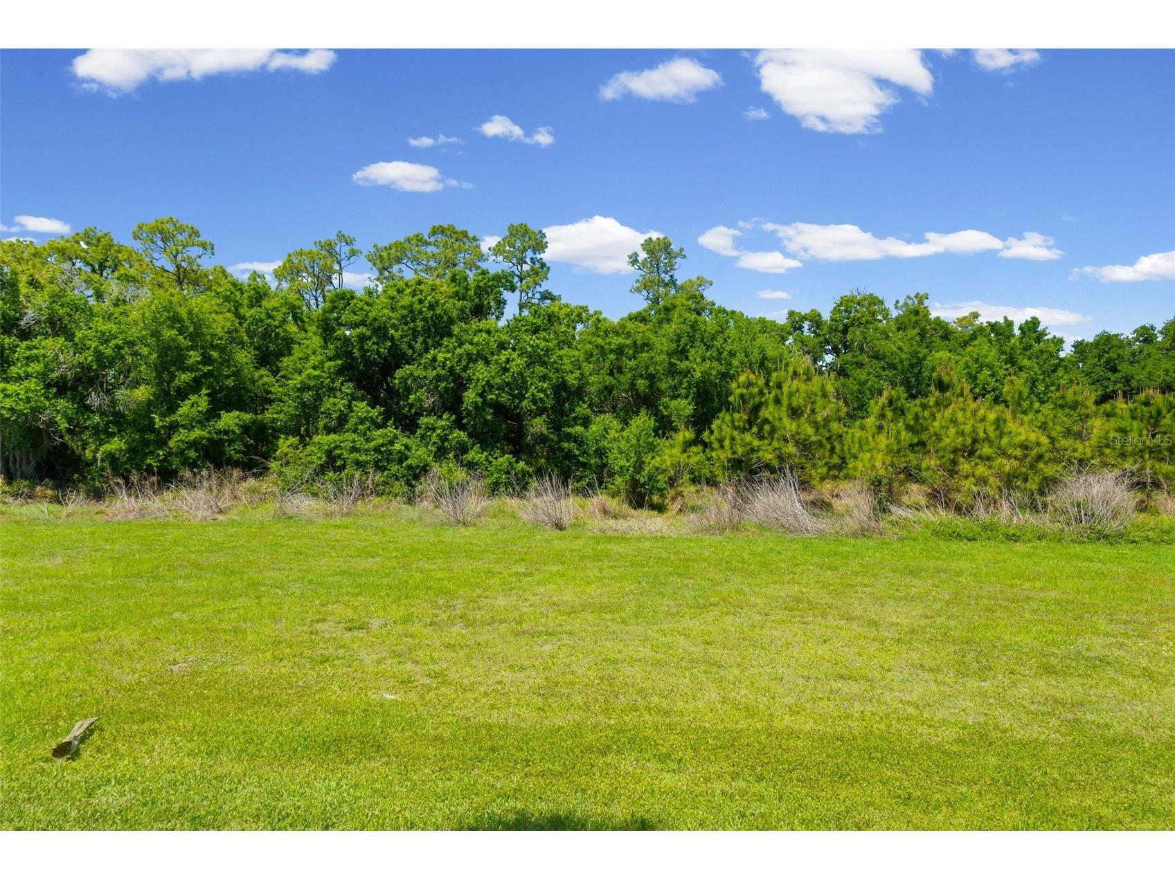 17053 Polo Trail Lakewood Ranch FL 34211 A4689789 image65