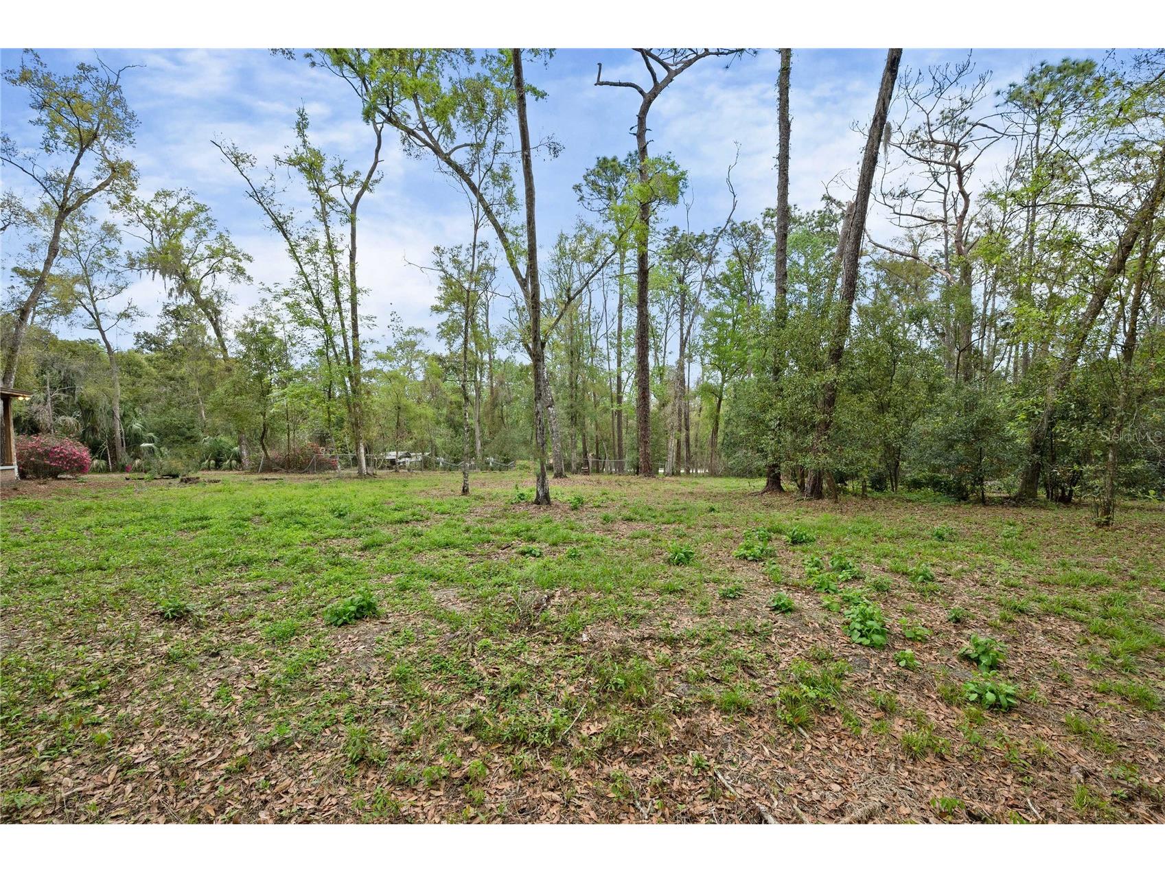 17055 Sweetwater Road Dade City FL 33523 TB8486831 image10