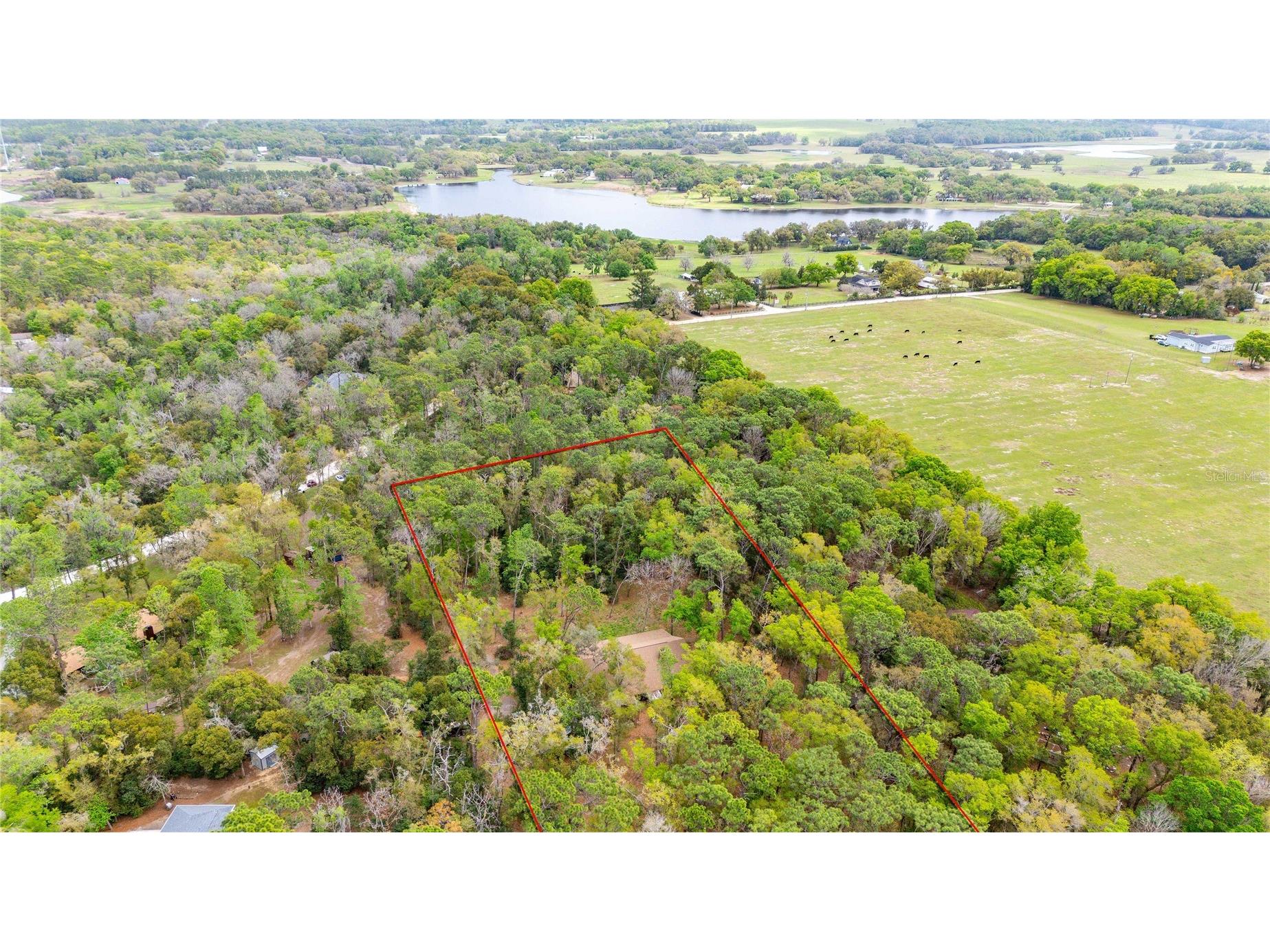 17055 Sweetwater Road Dade City FL 33523 TB8486831 image11