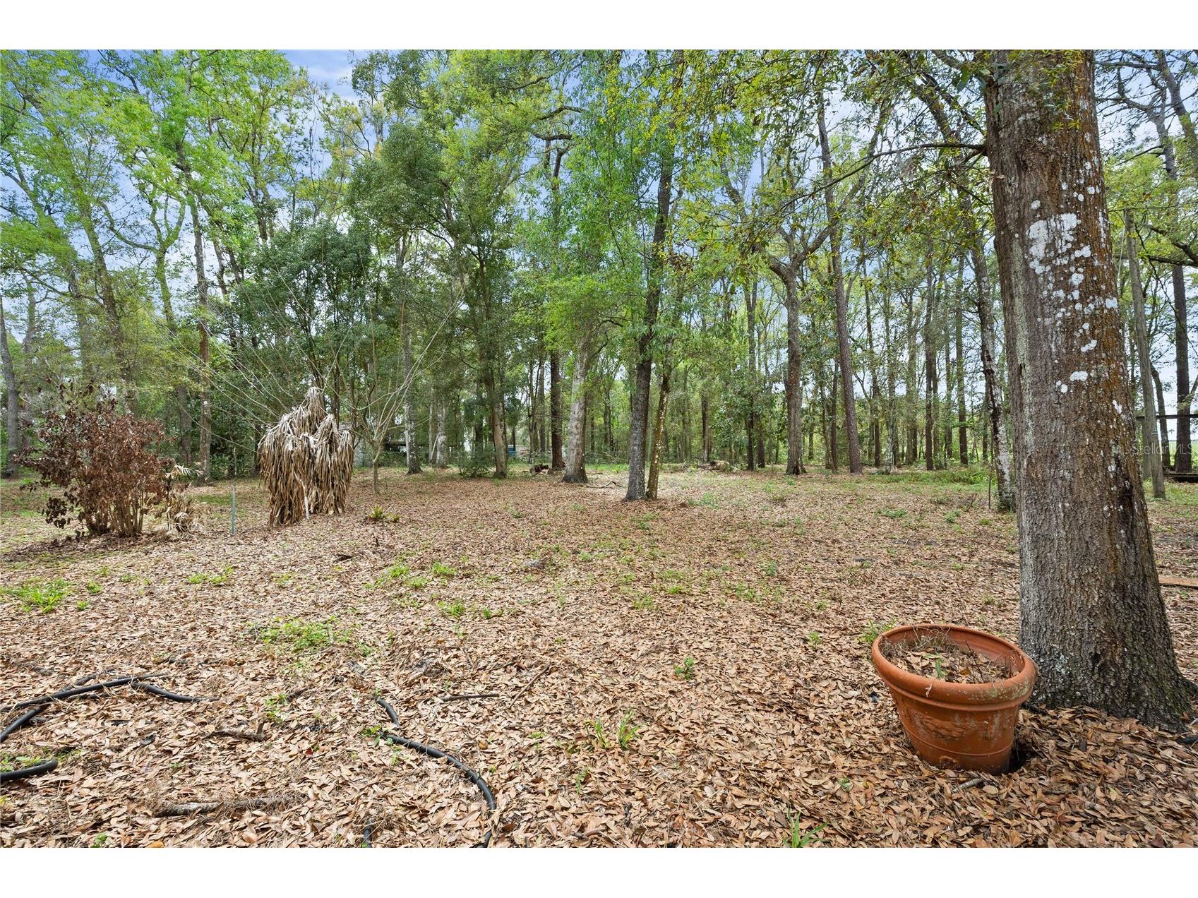 17055 Sweetwater Road Dade City FL 33523 TB8486831 image48