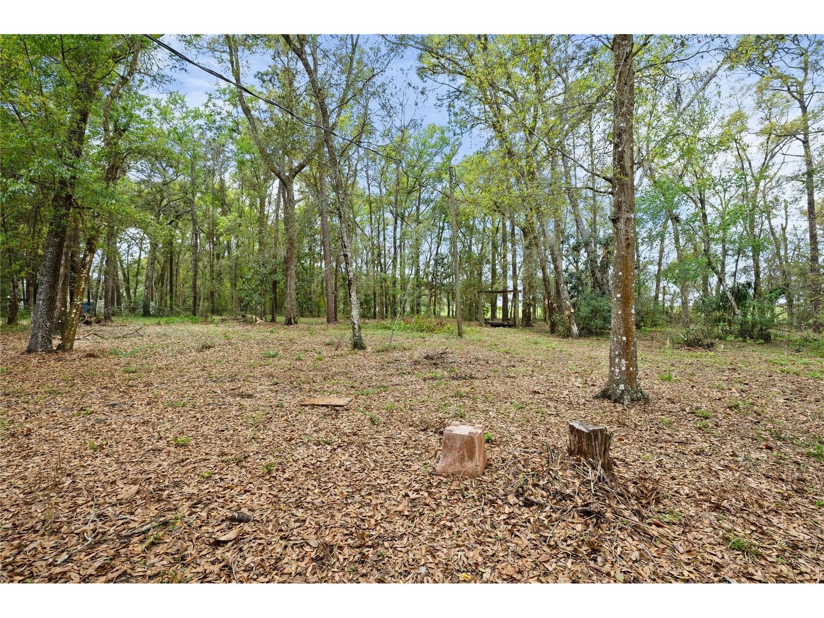 17055 Sweetwater Road Dade City FL 33523 TB8486831 image49