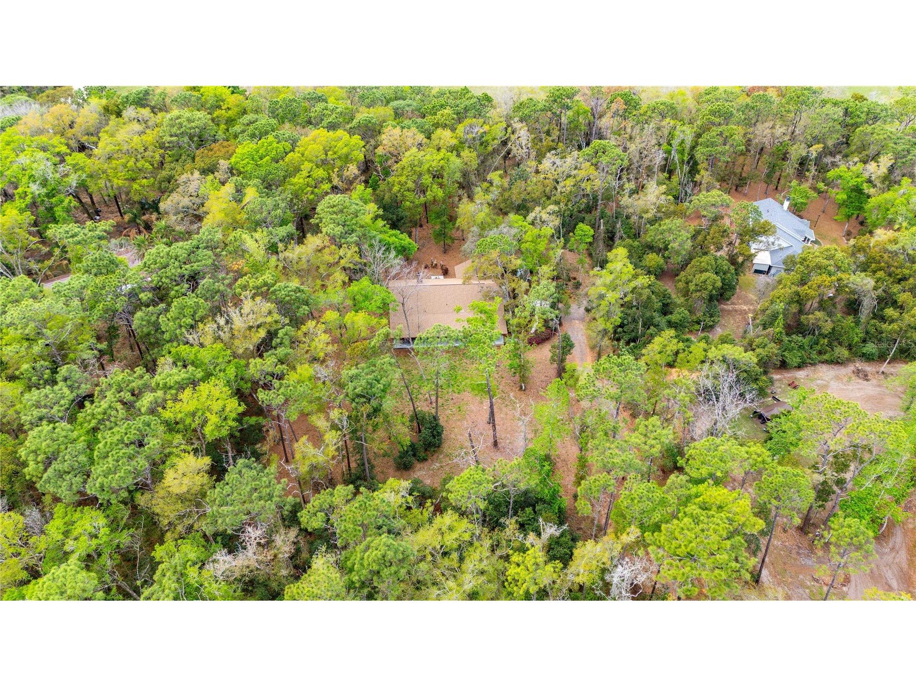 17055 Sweetwater Road Dade City FL 33523 TB8486831 image51