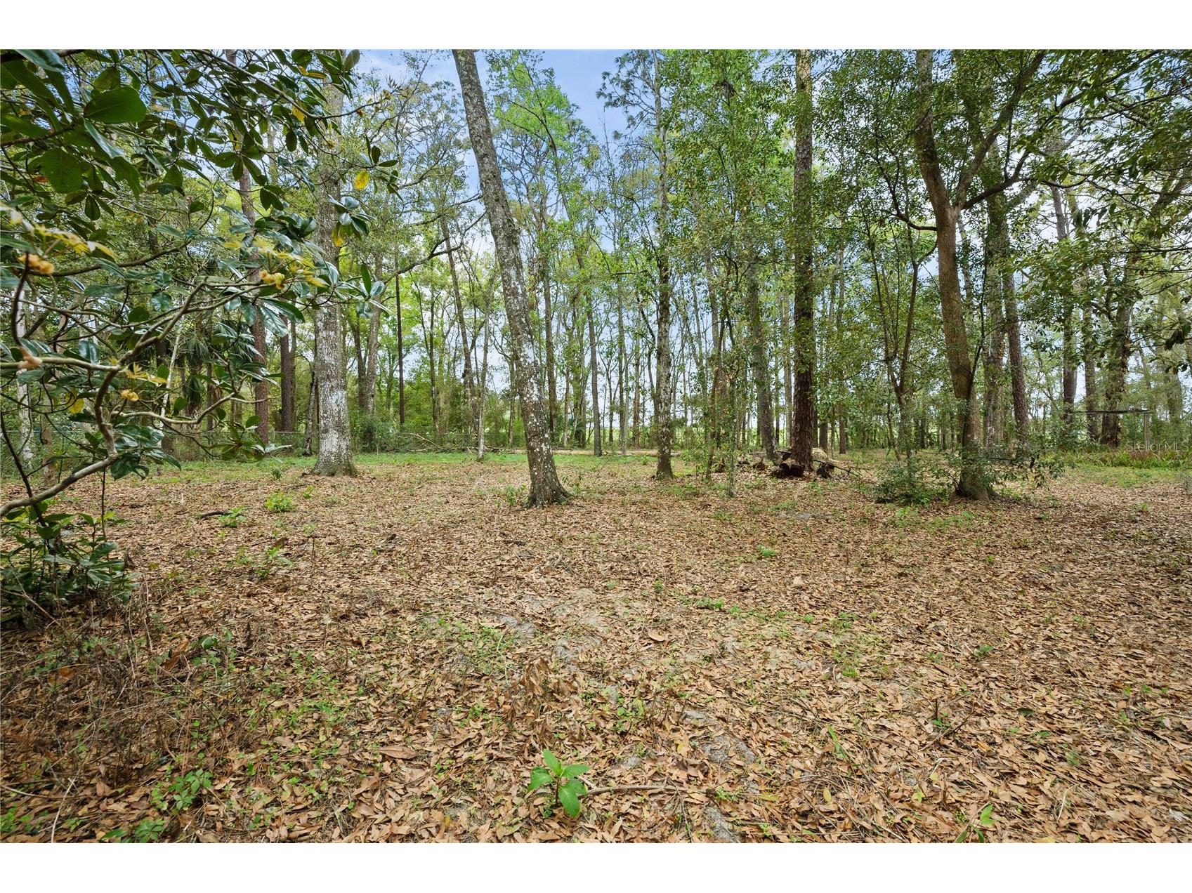 17055 Sweetwater Road Dade City FL 33523 TB8486831 image6