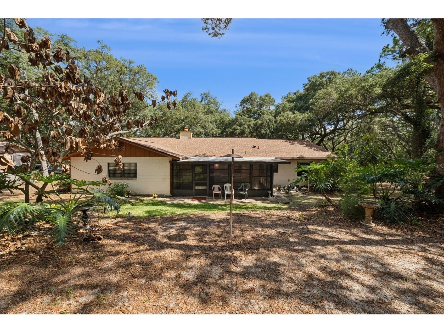 17056 Red Bird Road Winter Garden FL 34787 G5113999 image19